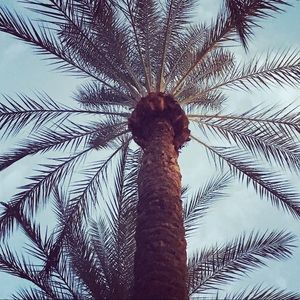 Meet your Posher, Holly